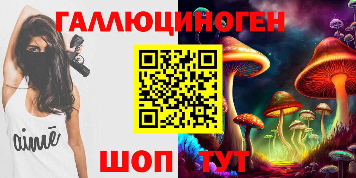 Галлюциногенные грибы Psilocybe Тара